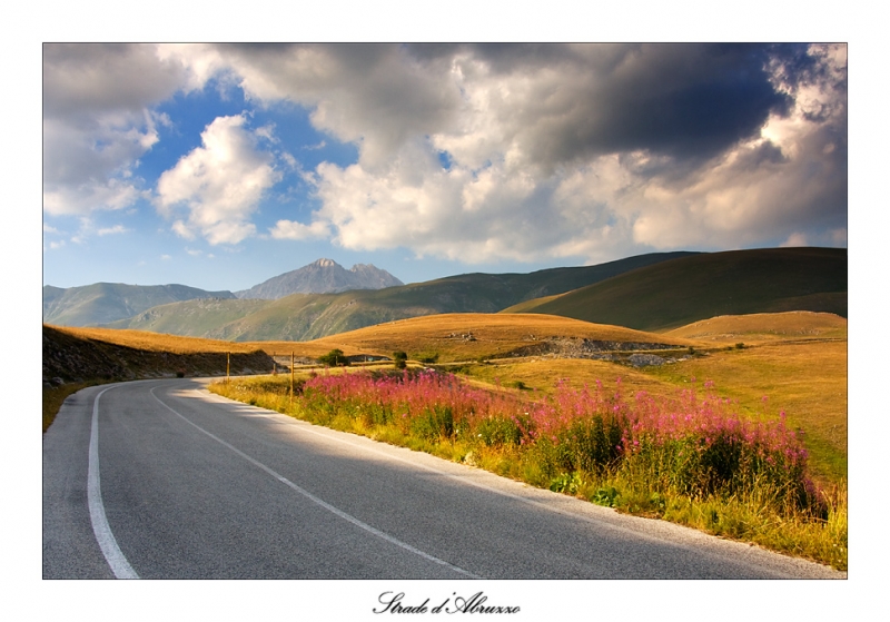 Clicca per l'immagine full size