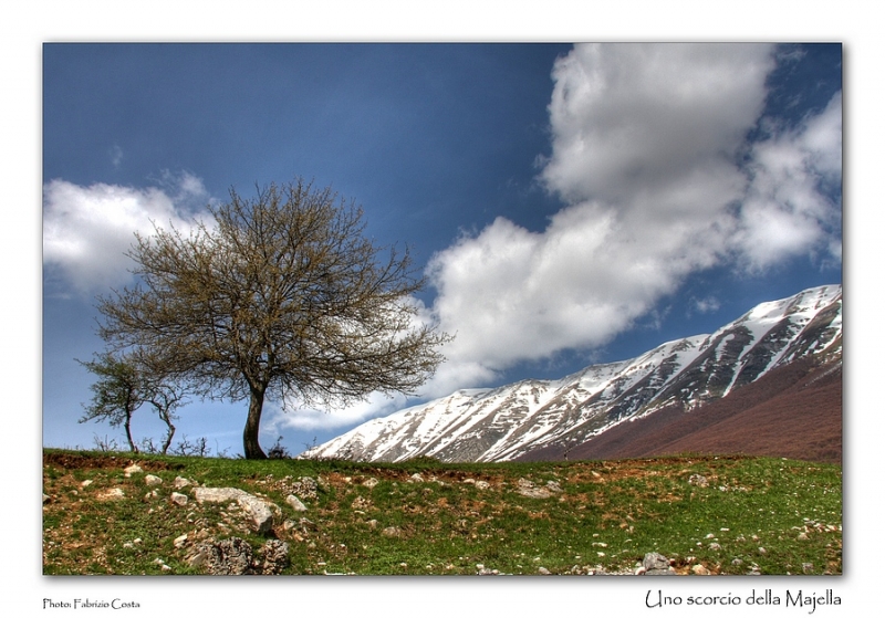 Clicca per l'immagine full size