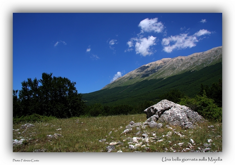 Clicca per l'immagine full size