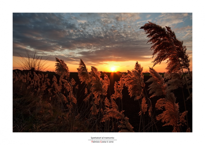 Clicca per l'immagine full size