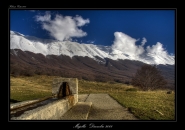 IMG_6241_1.jpg