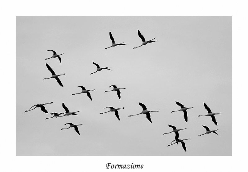 Clicca per l'immagine full size