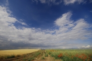 collezione_primaveraestate.jpg collezione_primaveraestate.jpg