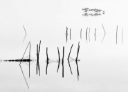 Nome File=fen.jpg
Dimensione File=163KB
Dimensioni=800x579
Data aggiunta=Dic 05, 2010 fen.jpg
