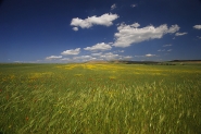 Nome File=spazi_infiniti.jpg
Dimensione File=386KB
Dimensioni=800x536
Data aggiunta=Mag 02, 2008 spazi_infiniti.jpg