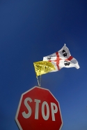 stopalnucleare.jpg stopalnucleare.jpg