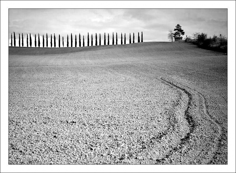 Clicca per l'immagine full size