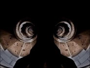 Nome File=gufo.jpg
Dimensione File=66KB
Dimensioni=788x600
Data aggiunta=Giu 05, 2008 gufo.jpg