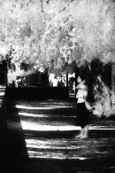 197.jpg 197.jpg