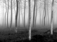 Nome File=67~0.jpg
Dimensione File=261KB
Dimensioni=700x525
Data aggiunta=Nov 01, 2009 67~0.jpg