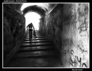 Nome File=Fuori_dal_tunnel.jpg
Dimensione File=299KB
Dimensioni=750x579
Data aggiunta=Nov 11, 2007 Fuori_dal_tunnel.jpg