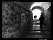 Nome File=Incontri_sgraditi.jpg
Dimensione File=329KB
Dimensioni=800x617
Data aggiunta=Nov 15, 2007 Incontri_sgraditi.jpg