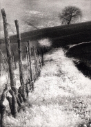 Nome File=Infrared_1.jpg
Dimensione File=341KB
Dimensioni=460x640
Data aggiunta=Gen 13, 2008 Infrared_1.jpg