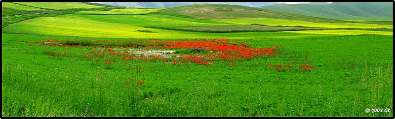 Clicca per l'immagine full size