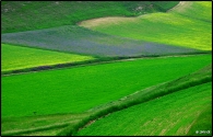 Castelluccio_-_geometrie_colorate_fa.jpg