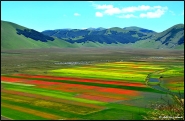 Nome File=Castelluccio_n_5-14_bis.jpg
Dimensione File=272KB
Dimensioni=1197x787
Data aggiunta=Lug 11, 2014 Castelluccio_n_5-14_bis.jpg