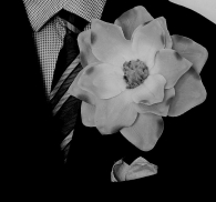 Il_fiore_all_occhiello.jpg Il_fiore_all_occhiello.jpg