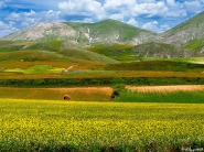 Nome File=Paesaggio_16.jpg
Dimensione File=460KB
Dimensioni=1024x768
Data aggiunta=Lug 29, 2017 Paesaggio_16.jpg