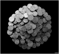 Nome File=Un_fiore_di_chiodi_2.jpg
Dimensione File=230KB
Dimensioni=997x910
Data aggiunta=Gen 03, 2009 Un_fiore_di_chiodi_2.jpg