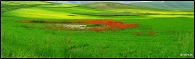 castelluccio_-_macchia_rossa.jpg