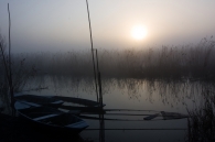 Nome File=Dawn.jpg
Dimensione File=237KB
Dimensioni=900x598
Data aggiunta=Feb 04, 2009 Dawn.jpg