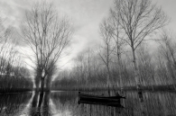 Nome File=Forbidden_forest.jpg
Dimensione File=335KB
Dimensioni=800x532
Data aggiunta=Dic 18, 2008 Forbidden_forest.jpg