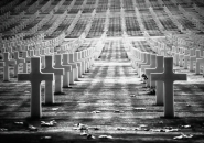 Nome File=Soldiers.jpg
Dimensione File=128KB
Dimensioni=800x566
Data aggiunta=Nov 18, 2007 Soldiers.jpg