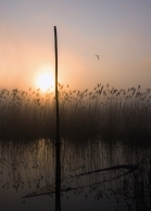 Nome File=The-Heron-and-the-Dawn.jpg
Dimensione File=261KB
Dimensioni=609x850
Data aggiunta=Feb 01, 2009 The-Heron-and-the-Dawn.jpg