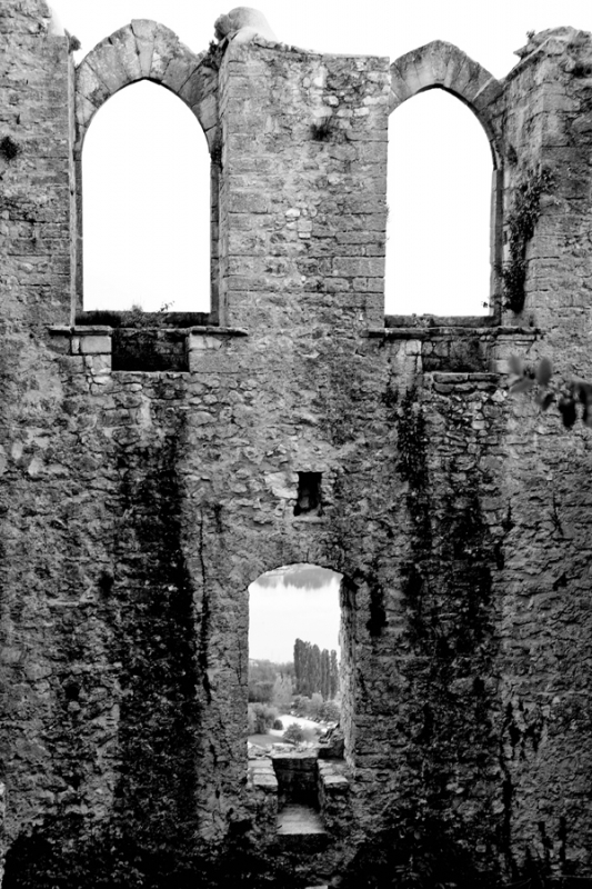 Clicca per l'immagine full size