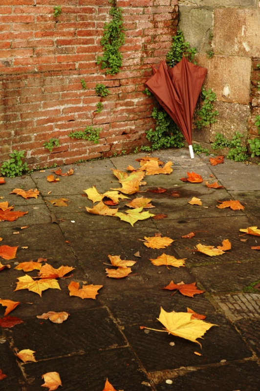 Clicca per l'immagine full size