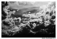 DSC_0683_BN_micromosso.jpg DSC_0683_BN_micromosso.jpg