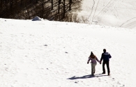 DSC_2227_fli_micr.jpg DSC_2227_fli_micr.jpg