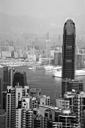 HK_062_mic_fli.jpg