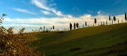Nome File=alberini_in_fila.jpg
Dimensione File=130KB
Dimensioni=800x356
Data aggiunta=Gen 23, 2008 alberini_in_fila.jpg