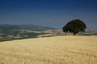 Nome File=san_quirico_classic_.jpg
Dimensione File=228KB
Dimensioni=900x599
Data aggiunta=Giu 28, 2009 san_quirico_classic_.jpg