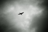 Nome File=the_bird___.jpg
Dimensione File=203KB
Dimensioni=800x531
Data aggiunta=Dic 21, 2007 the_bird___.jpg