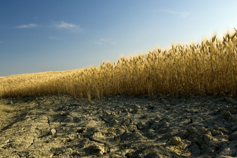 Clicca per l'immagine full size