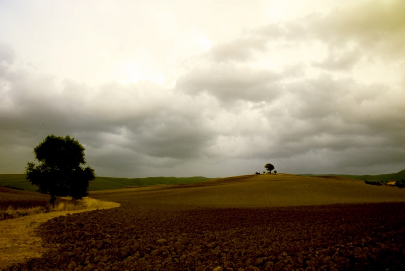 Clicca per l'immagine full size