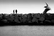 Nome File=Ali___.jpg
Dimensione File=259KB
Dimensioni=800x534
Data aggiunta=Nov 10, 2007 Ali___.jpg