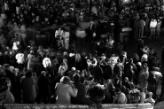 Nome File=LIVE.jpg
Dimensione File=260KB
Dimensioni=800x533
Data aggiunta=Gen 23, 2008 LIVE.jpg