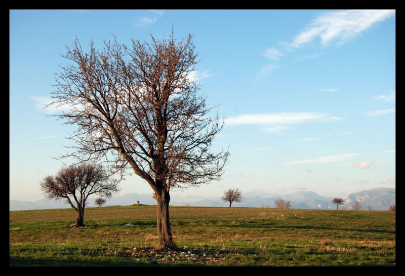 Clicca per l'immagine full size