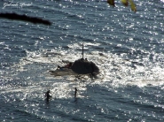 scoglio_di_sanfrancesco.jpg