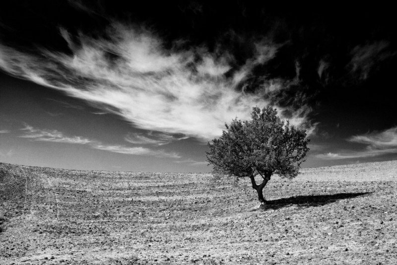 Clicca per l'immagine full size