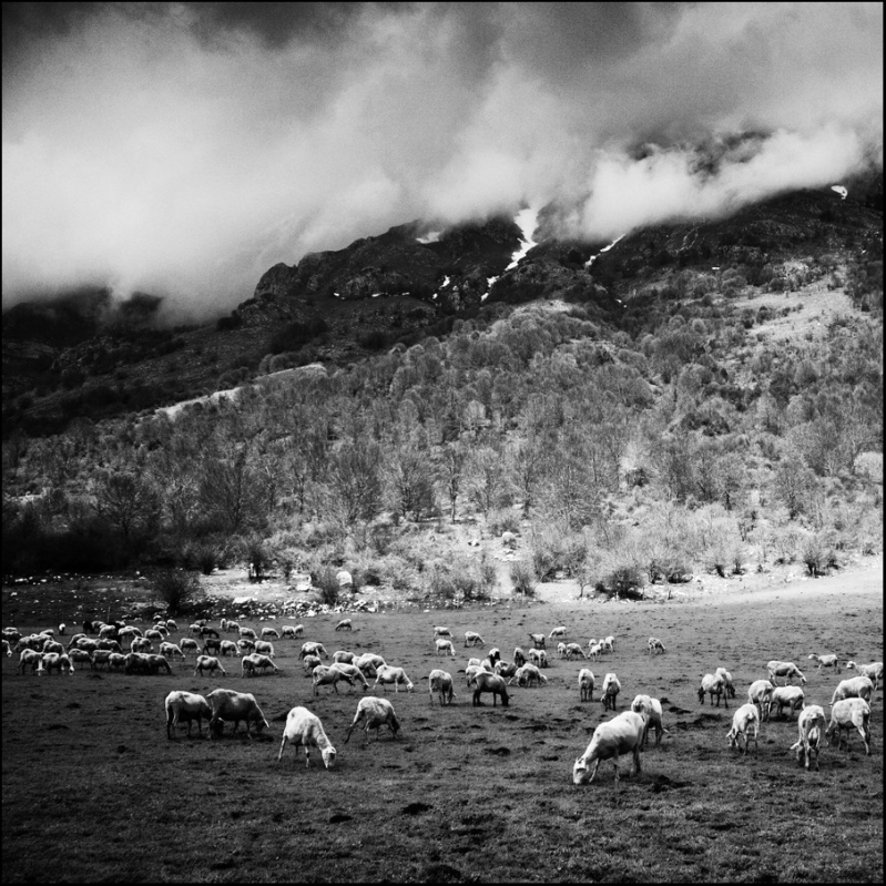 Clicca per l'immagine full size