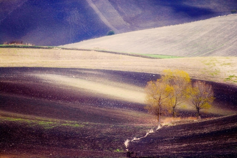 Clicca per l'immagine full size
