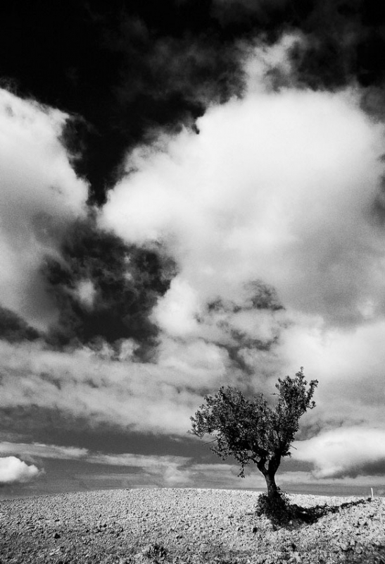 Clicca per l'immagine full size