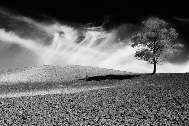 Clicca per l'immagine full size