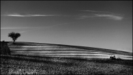 Nome File=land~0.jpg
Dimensione File=126KB
Dimensioni=900x511
Data aggiunta=Dic 13, 2009 land~0.jpg