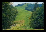 lanscape.JPG