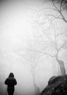 nebbia~1.jpg